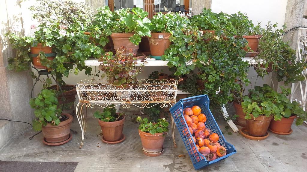 Villa Maria Bed & Breakfast, Corridonia, Marche Екстериор снимка